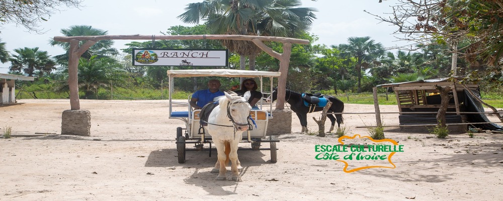 ESCALE CULTURELLE (PACK STANDARD) - ZOROFLA TERRE DE VIE